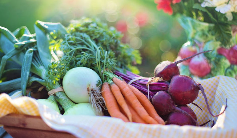 Prestige’s top tips for getting the kids involved in Vegetarian Month