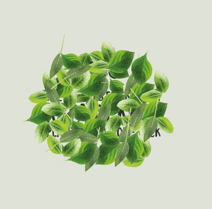 Eco Friendly Gifts