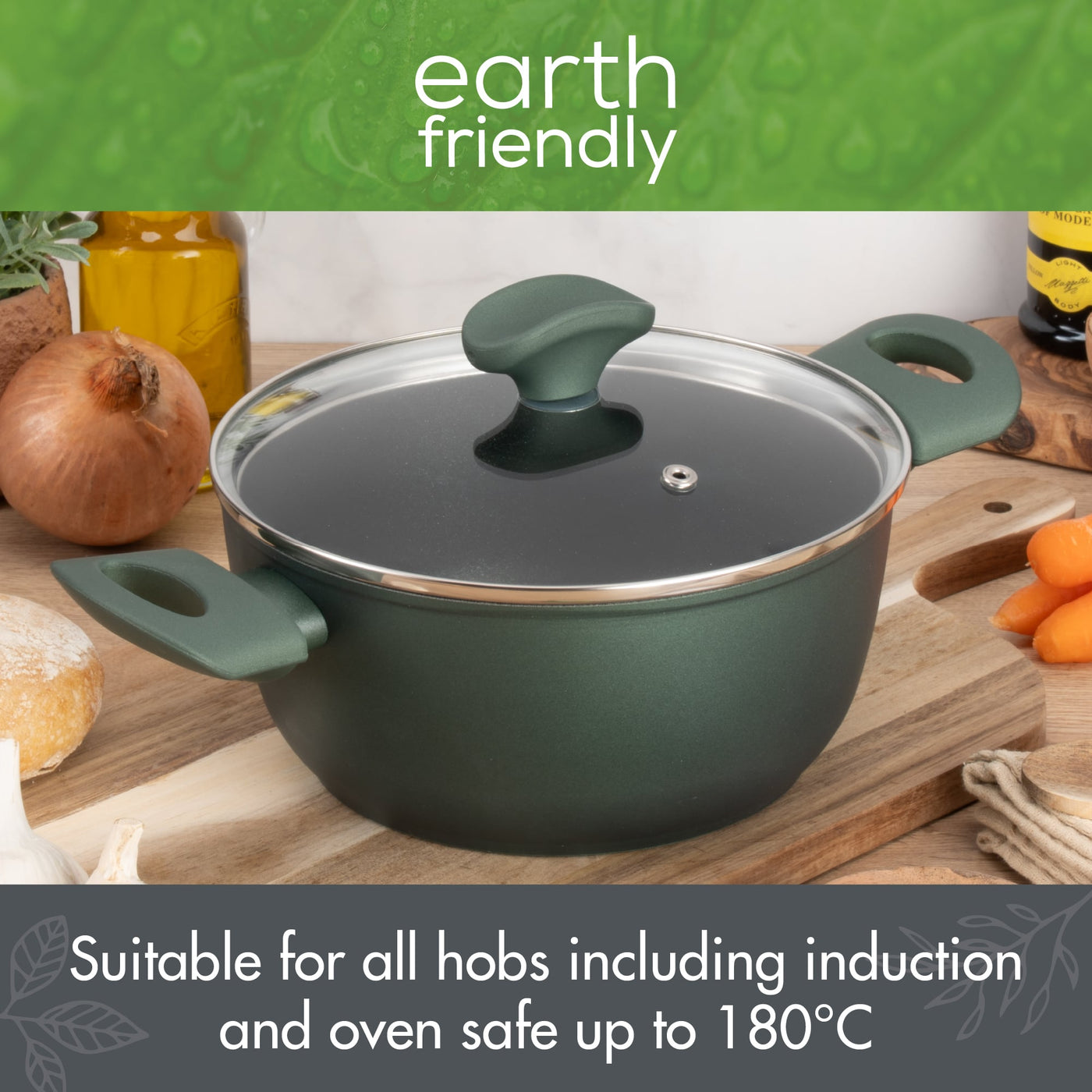 Earth Friendly Stock Pot & Lid Induction Safe