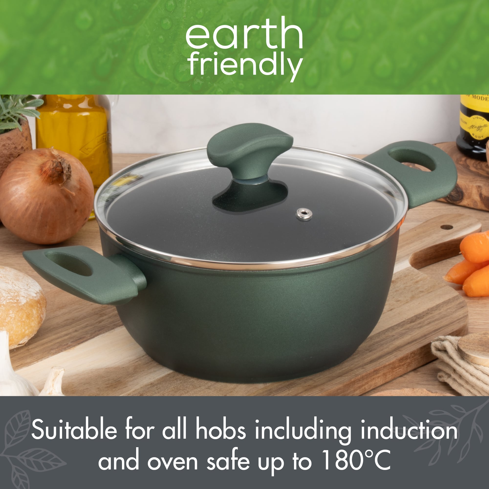 Earth Friendly Stock Pot & Lid Induction Safe
