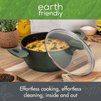 Earth Friendly Stock Pot & Lid Easy Clean