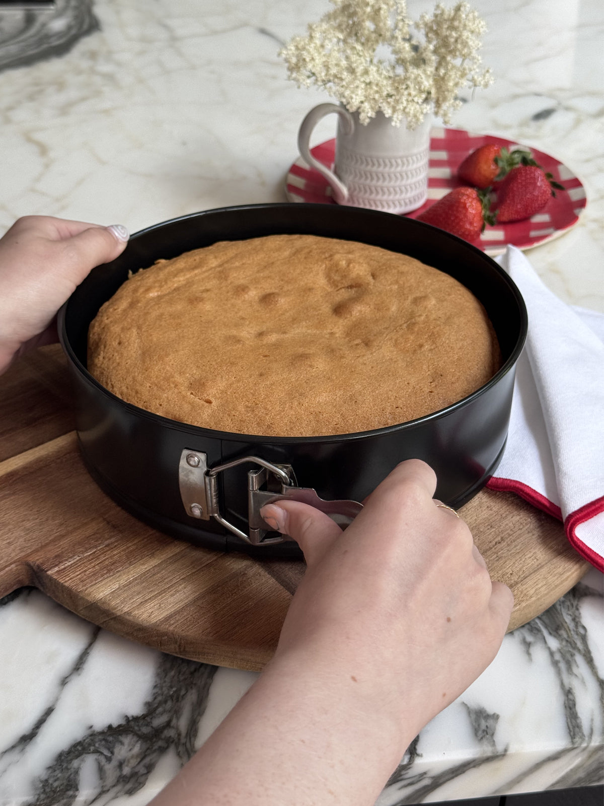 Aerolift 9" Springform Cake Tin