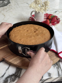 Aerolift 9" Springform Cake Tin