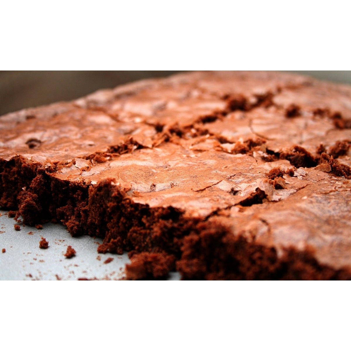 Zenker Creative Studio Brownie Baking Tin | Premier Homeware